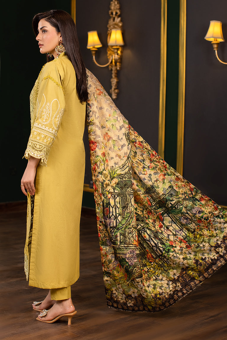 Pakistani Plus Size Dress