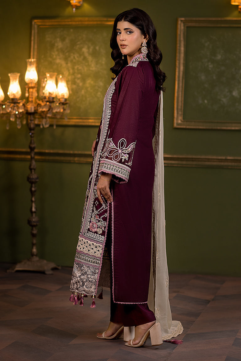 Pakistani Plus Size Dress USA 