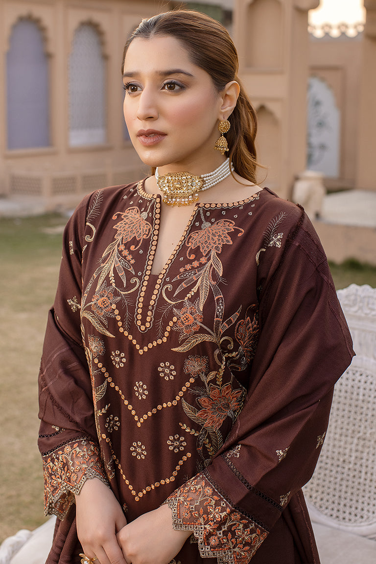 Chocolate Brown Winter Dress 