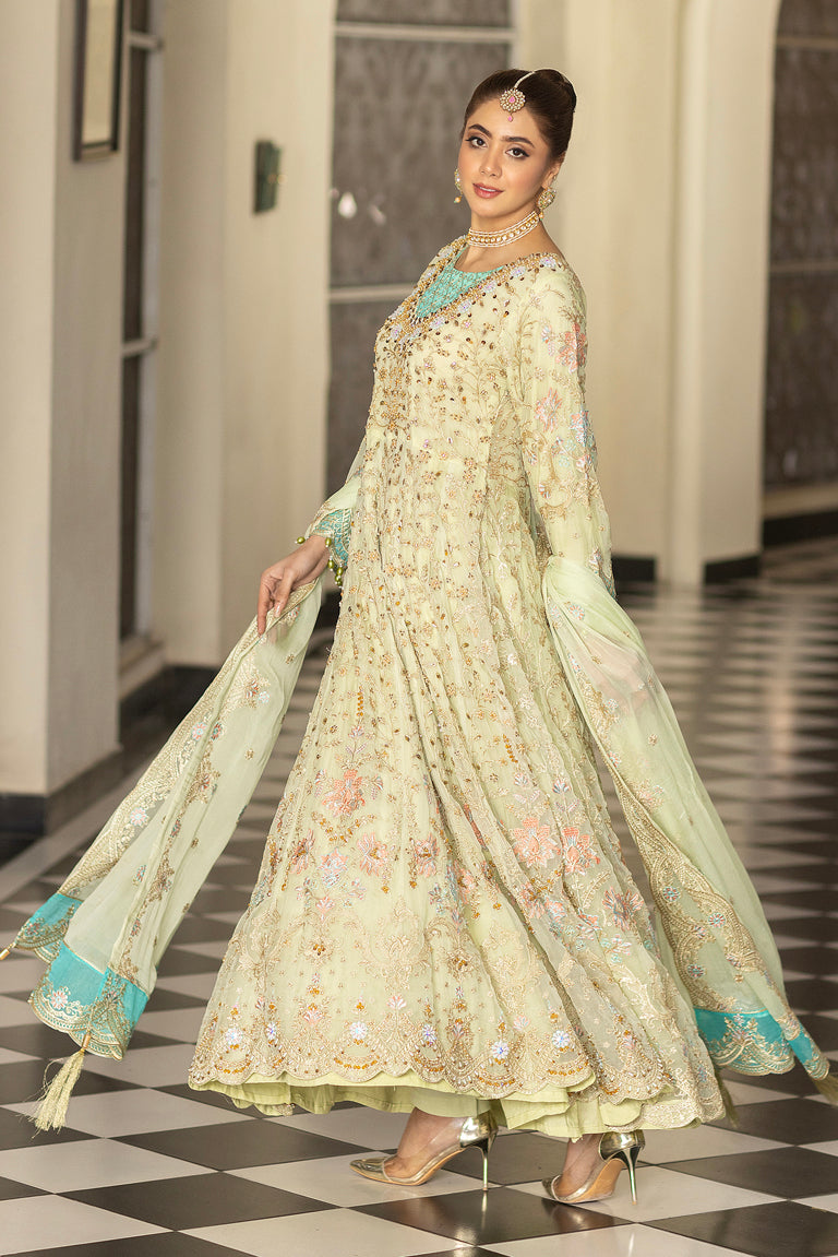 Embroidered Chiffon Dress