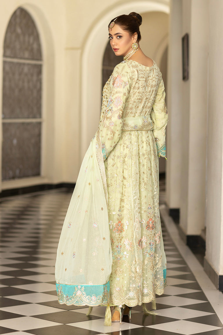 Embroidered Pakistani Bridal Dress