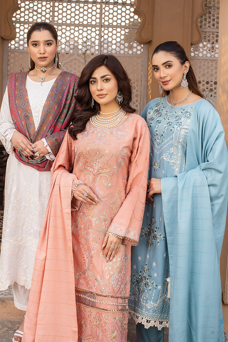 Heavily Embroidered Dhanak Suits