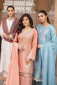 Heavily Embroidered Dhanak Suits