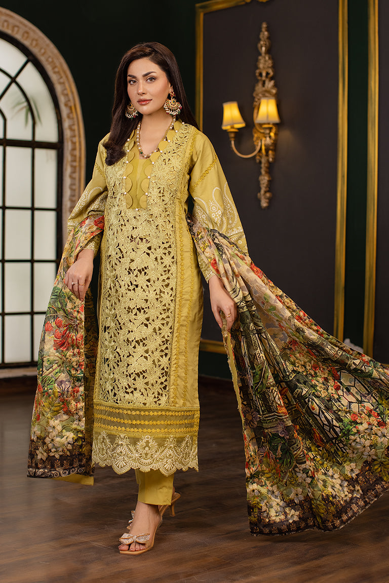 Mehndi Dress Pakistani USA
