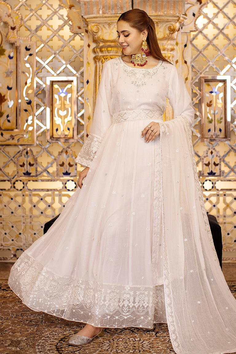 Off-White Pakistani Chiffon Dress USA
