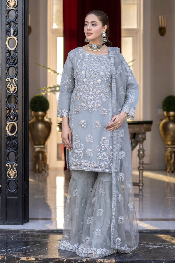 Organza Formal Dress with Silver Zari Embroidery