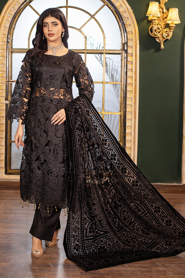 Organza Pakistani Dress
