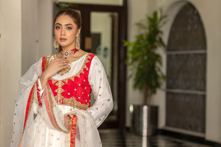 Organza Pakistani Dress USA