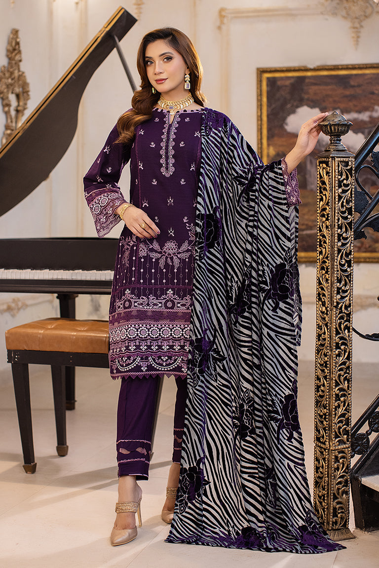 Pakistan Winter Dress Online USA