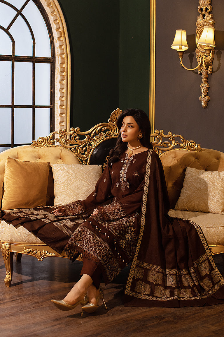 Pakistani Winter Dress Online USA