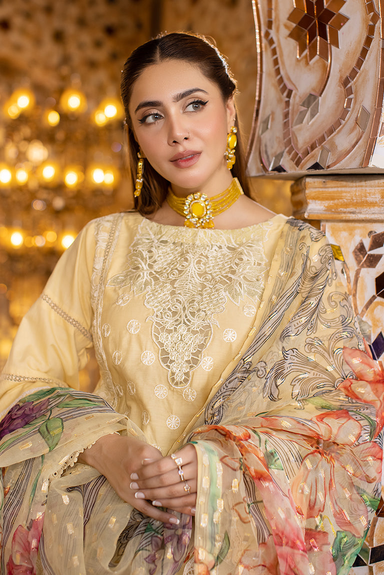 Pakistani Eid Dress USA