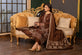 Pakistani Branded Suit USA
