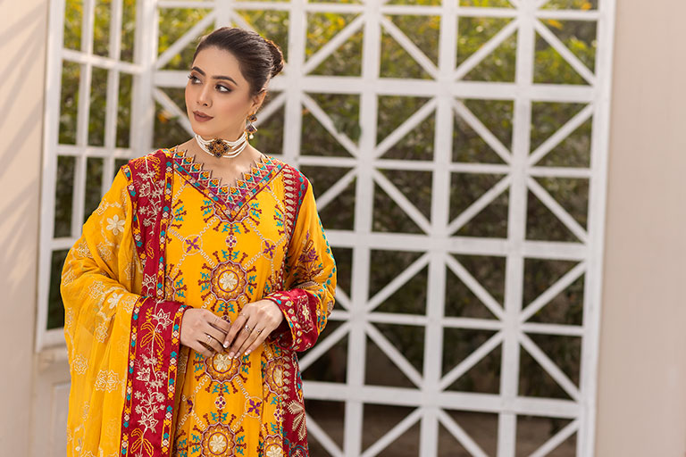 Pakistani Chiffon Dress USA