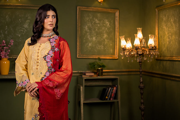 Pakistani Cotton Dress 