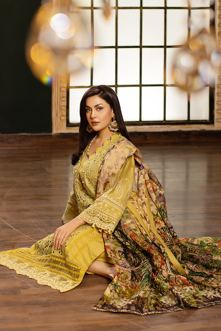 Pakistani Cotton Dress Online USA