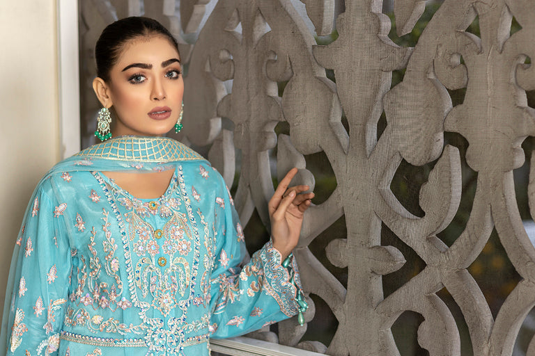 Pakistani Net Dress 