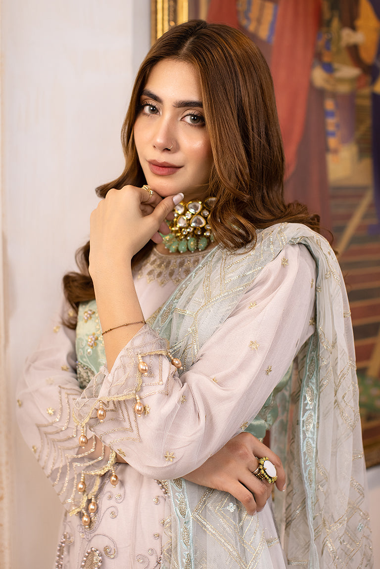 Pakistani Net Dress