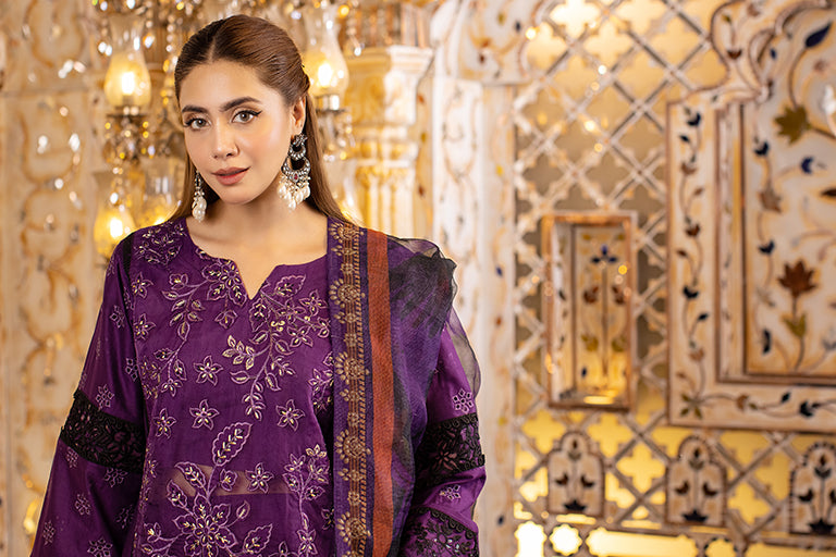 Pakistani Plus Size Dress USA