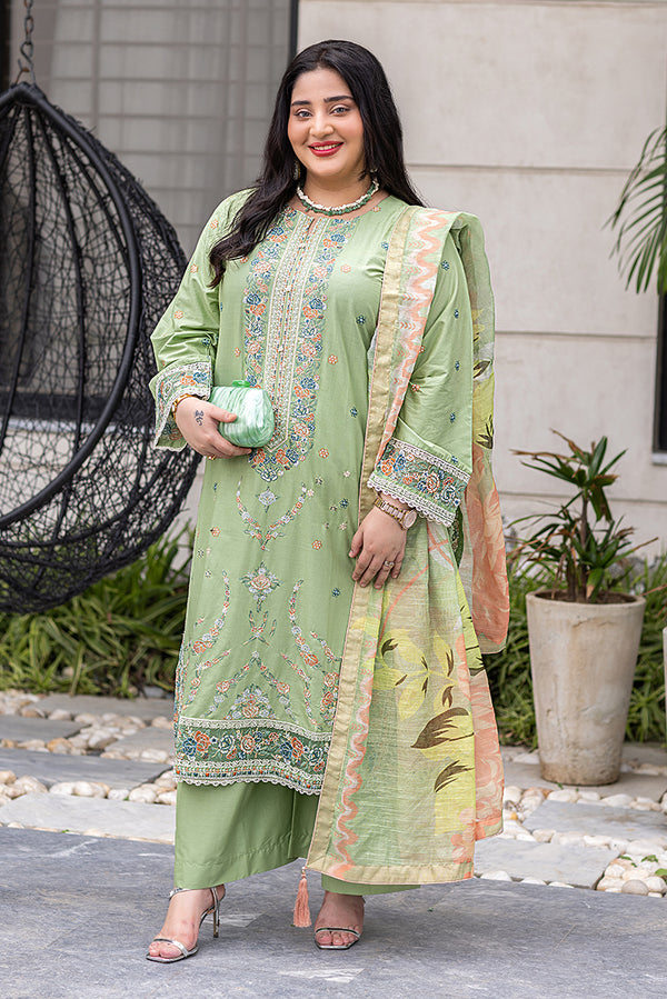 Pakistani Plus Size Dress in USA