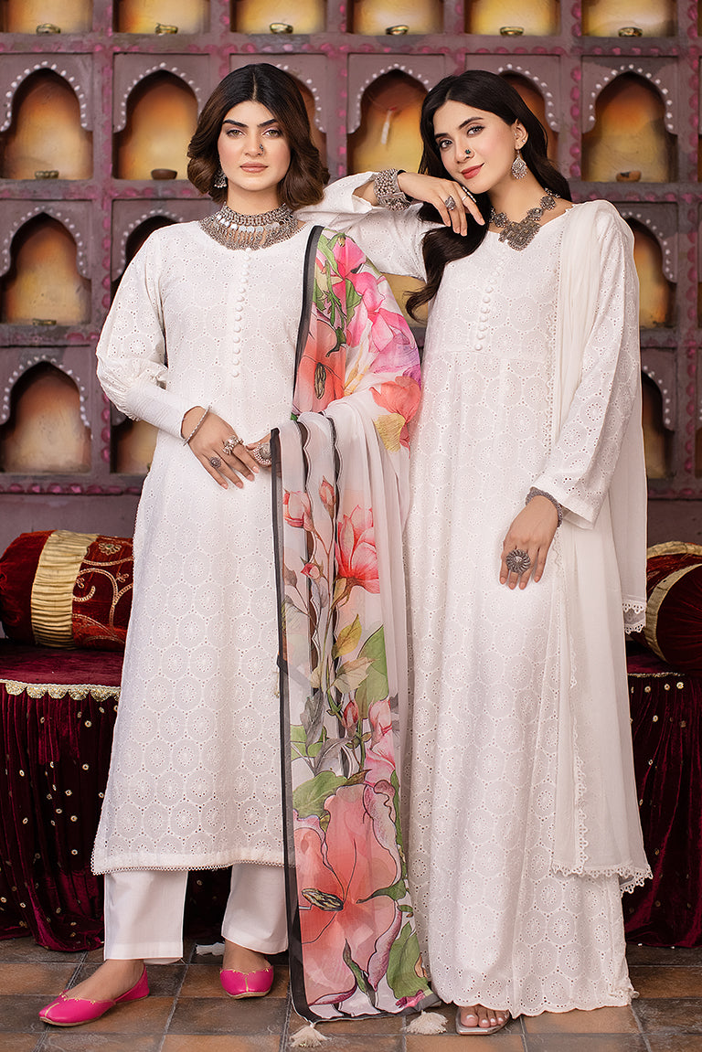 Pakistani Plus Size Dresses USA