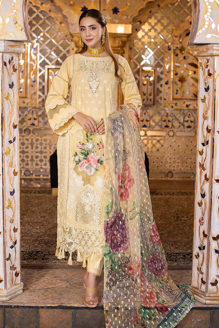 Pakistani Winter Dress USA