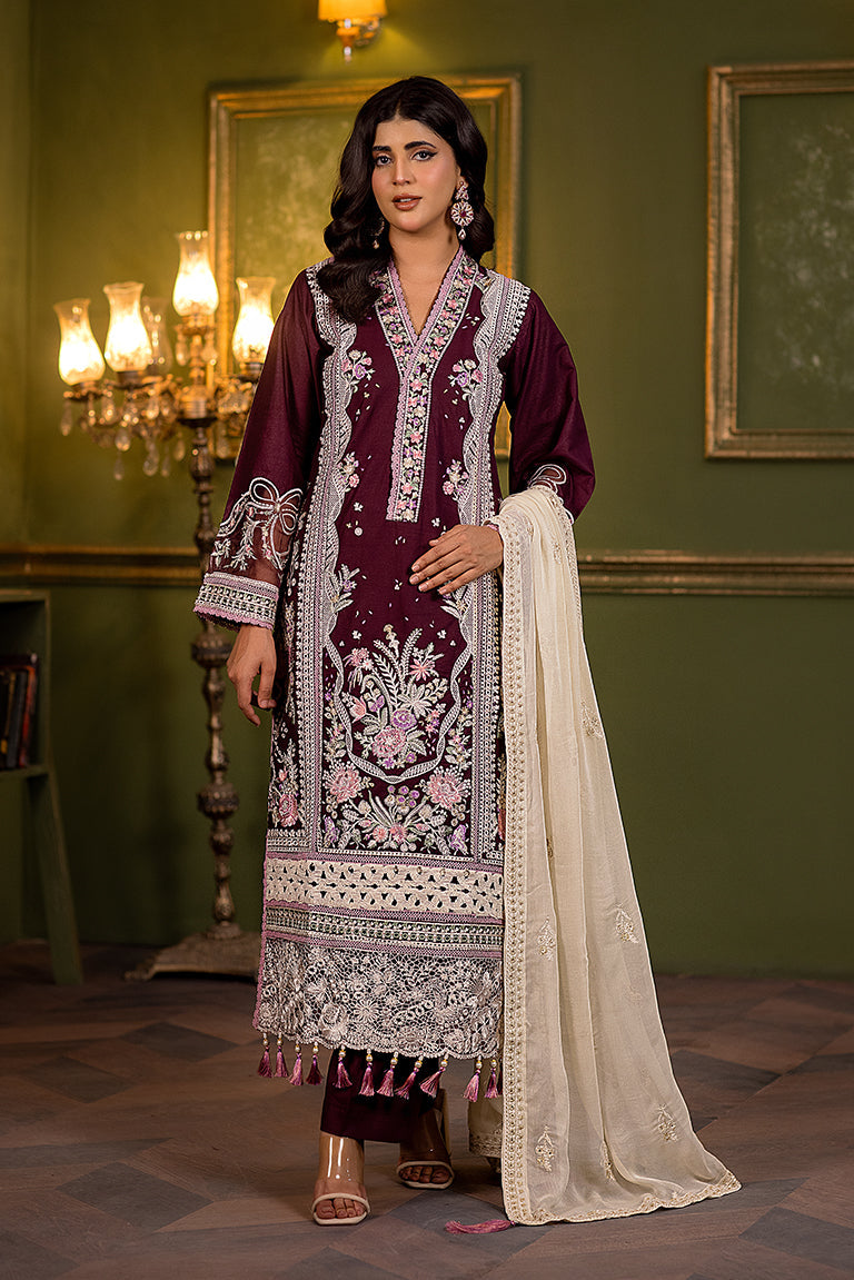 Pakistani Winter Dress USA