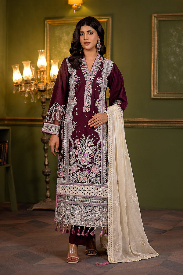 Pakistani Winter Dress USA