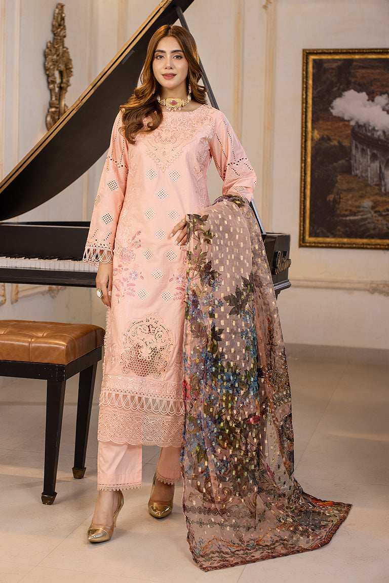 Pakistani winter pret