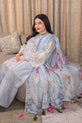 Pastel Pakistani Plus Size Dress