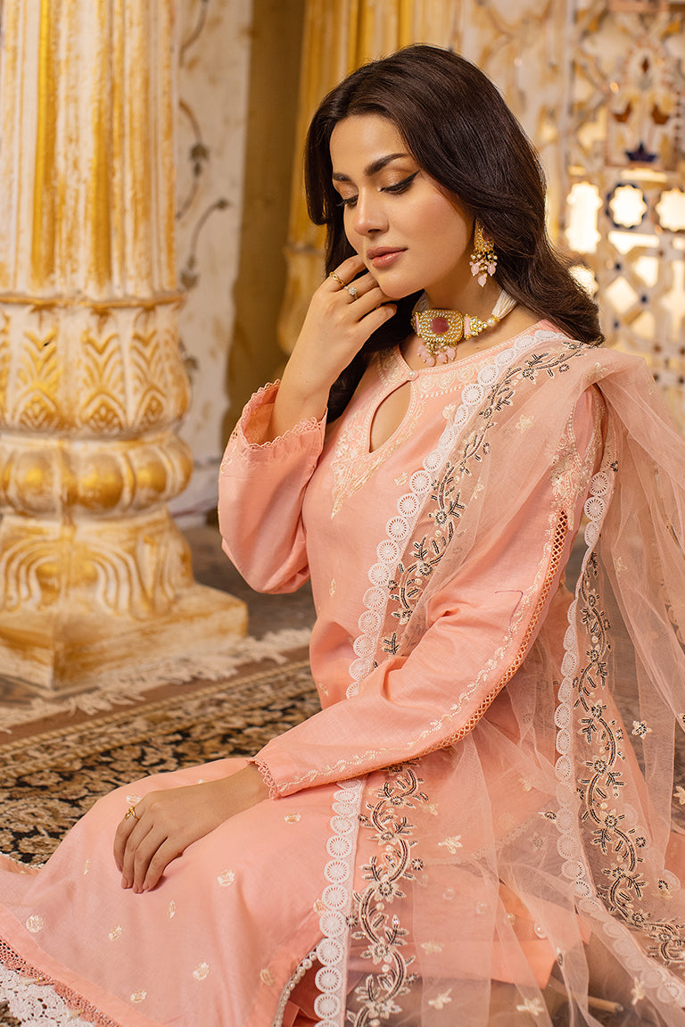 Peach Embroidered Dress