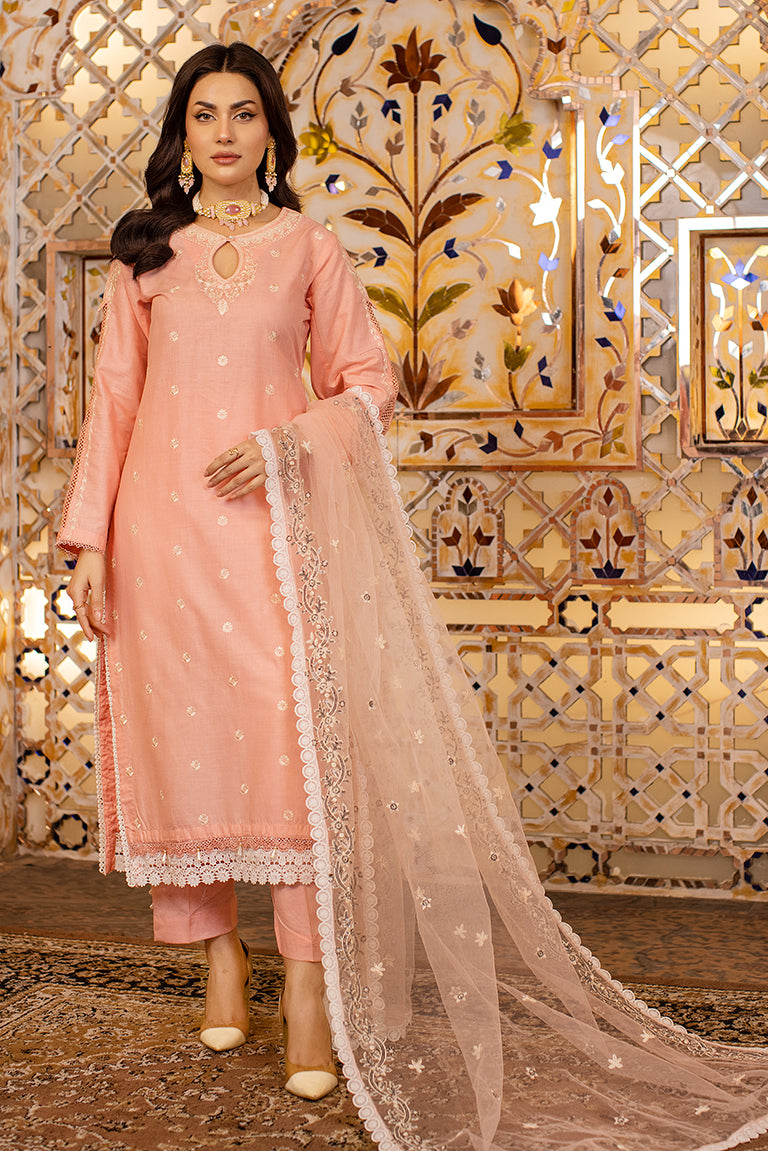 Peach Embroidered Plus Size Dress 