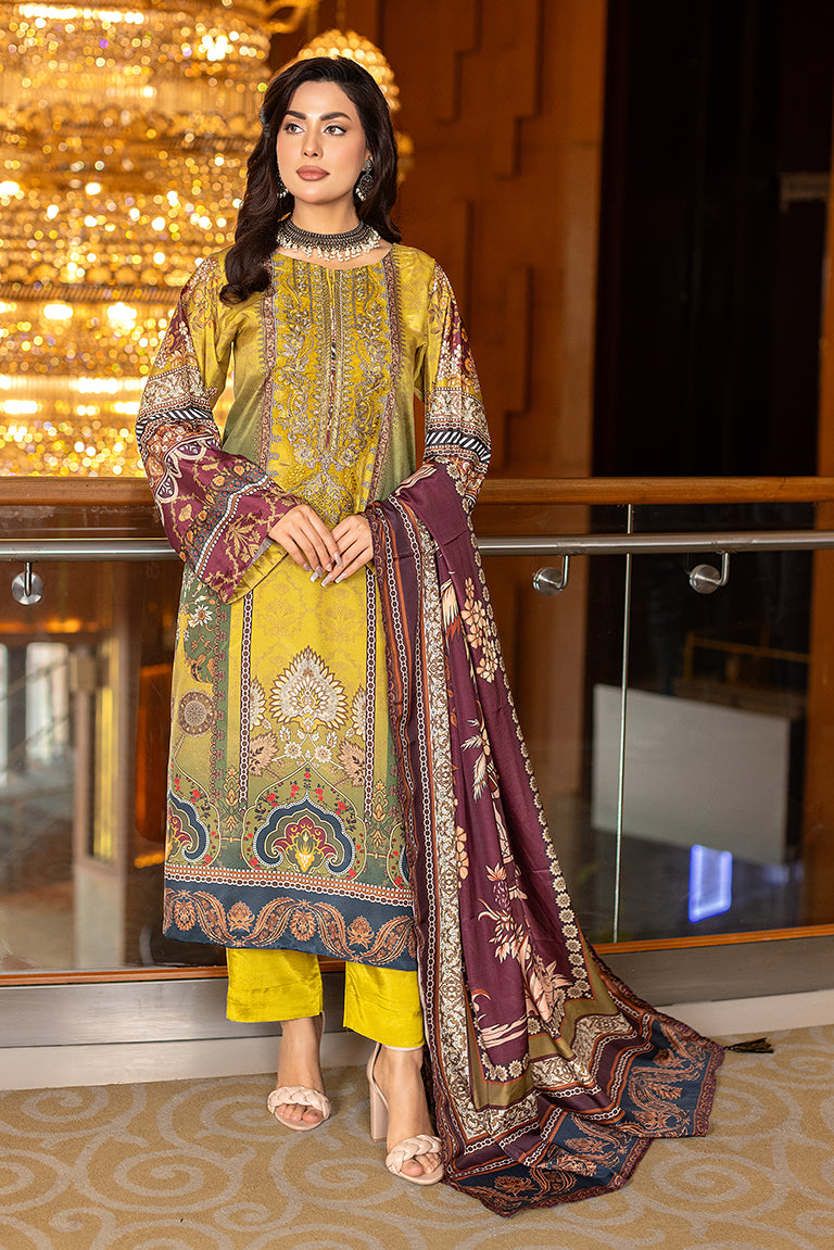 Raw Silk Pakistani Dress