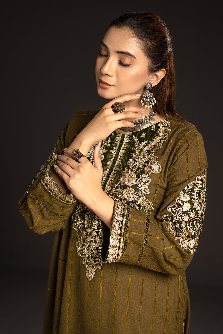 Winter embroidered velvet dress