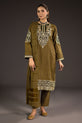 Winter embroidered velvet dress usa