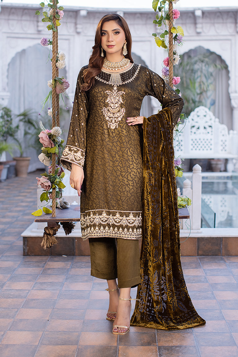 embroidered Banarsi dress