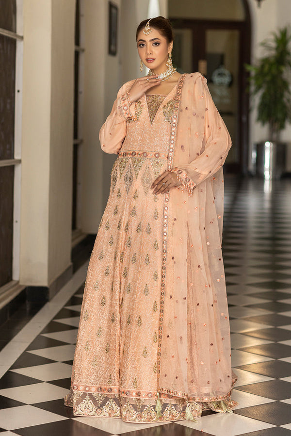 embroidered chiffon maxi dress