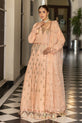 embroidered chiffon maxi dress