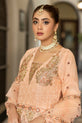 embroidered chiffon maxi dress usa
